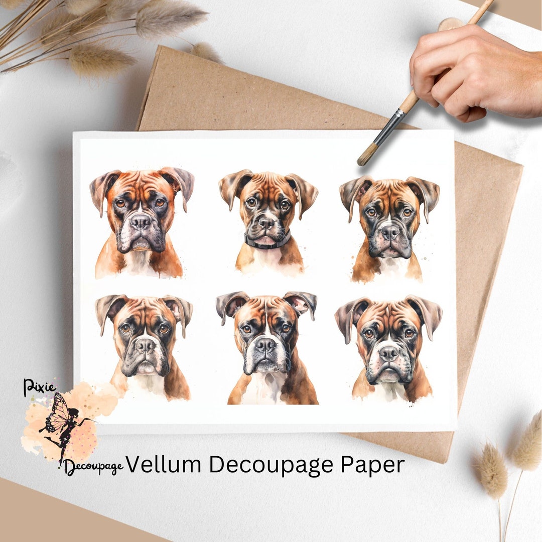 Boxer 1 , One Sheet Decoupage Paper US Letter Size - Etsy