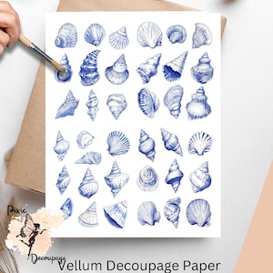 Blue Ink Seashells 1, One Sheet Decoupage Paper US Letter Size, Shipped To You