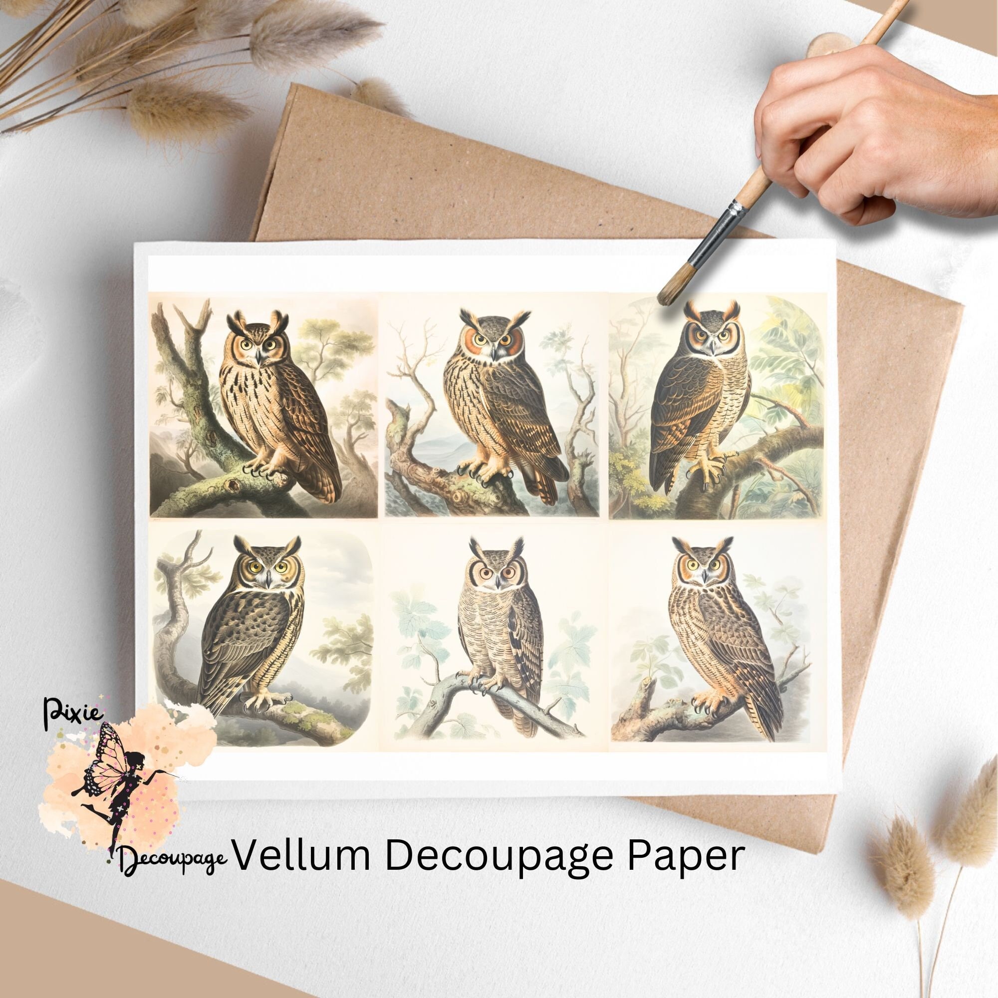 Vintage Owl Collage 1, Decoupage Paper US Letter Size, Shipped To You