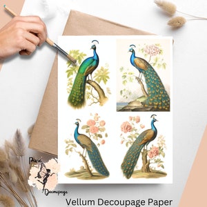 Vintage Peacock 3, un foglio di carta per decoupage formato lettera USA