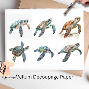 May include: Six watercolor illustrations of sea turtles on white paper. The turtles are in various poses, with some swimming and others resting. The illustrations are detailed and realistic, with vibrant colors and intricate patterns.