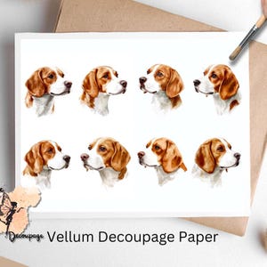 May include: Eight watercolor illustrations of beagle dog heads in various poses. The illustrations are printed on vellum decoupage paper.