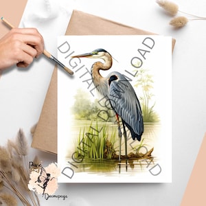 Puede incluir: Ilustración en acuarela de una garza azul parada en el agua con juncos. El ave tiene plumas grises y azules, un cuello largo y un pico largo. Las palabras "DIGITAL DOWNLOAD" están impresas en la imagen.