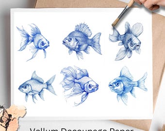 Blue Fish  1 , One Sheet Rice Paper US Letter Size