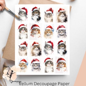 May include: A sheet of vellum decoupage paper with 16 images of cats wearing Santa hats. The cats are in various poses and have different fur colors and patterns.