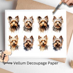 May include: Eight watercolor illustrations of Yorkshire Terrier dogs on white vellum decoupage paper. Each dog is depicted with a different pose and expression.