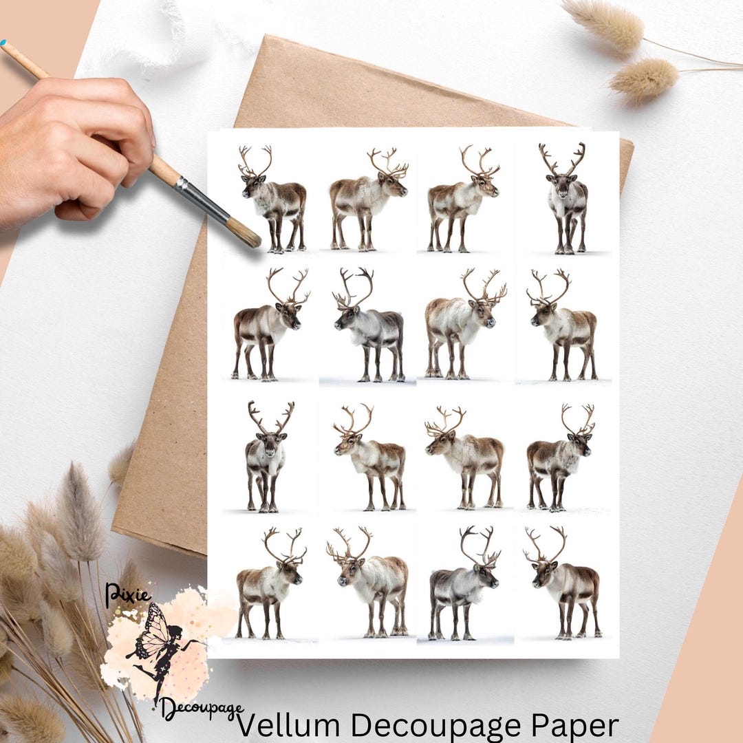 Paper Rizerd Reindeer 2, One Sheet Rice Paper US Letter Size - Etsy