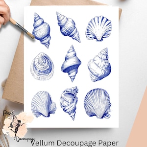 Blue Ink Seashells  2 , One Sheet Decoupage Paper US Letter Size, Shipped To You