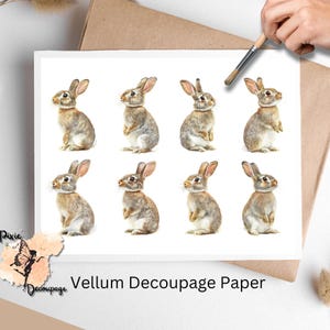 Coniglietto 1, un foglio di carta per decoupage formato lettera USA