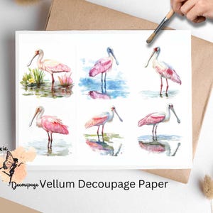 May include: Six watercolor illustrations of pink spoonbills on vellum decoupage paper. Each illustration features a pink spoonbill standing in water with its reflection visible.
