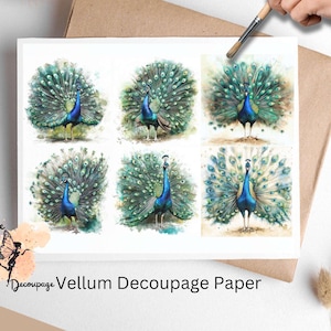 Peacock 2, un foglio di carta per decoupage formato lettera USA