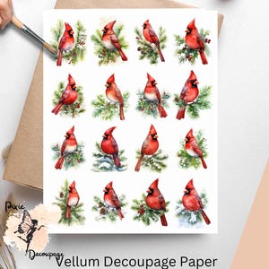 Puede incluir: Una hoja de papel de decoupage de vitela con 16 imágenes de cardenales rojos posados en ramas de pino. Los cardenales están pintados en estilo acuarela con detalles realistas. El papel es perfecto para manualidades y para añadir un toque de alegría invernal a tus proyectos.