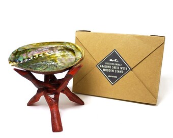 Abalone Shell With Wooden Stand - Etsy