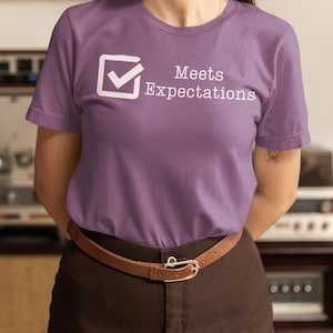 Meets Expectations Funny Unisex Jersey Tee, funny office t-shirt, co-worker gift, evaluation joke, best friend gift, graduation, dark color