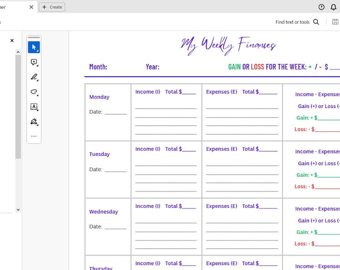 One page beginner printable PDF financial tracker for income and expenses by week | Savings Goals | PDF Instant Download