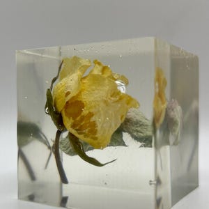 Puede incluir: Una rosa amarilla encapsulada en un cubo de resina transparente. La rosa, con sus pétalos y hojas verdes, es totalmente visible. La resina transparente permite una visión clara de la flor. Es un objeto decorativo.
