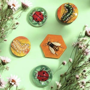 May include: A collection of insect-themed decorative pins. The pins feature a ladybug, a caterpillar, and a bee. The ladybug pins are red with black spots, the caterpillar pins are green and yellow, and the bee pin is black and gold.