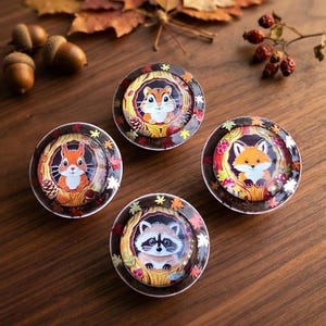 May include: Four circular cabinet knobs featuring colorful illustrations of a squirrel, a chipmunk, a fox, and a raccoon peeking out from tree hollows, surrounded by a dark border decorated with small autumn leaves and forest elements.