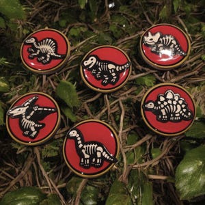 May include: Six circular buttons with a dinosaur theme. Each button has a red background with a gold border and a black and white dinosaur skeleton design. The buttons are displayed on a bed of green foliage.