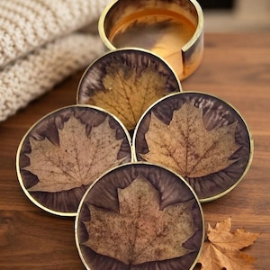 May include: A set of four circular coasters with gold-toned metal rims, each featuring a preserved brown maple leaf embedded in a dark purple resin base. The coasters are stacked and arranged with a matching cylindrical holder and one loose leaf.