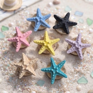 May include: A collection of seven decorative starfish figurines in various colors including blue, black, pink, yellow, purple, beige, and teal. Each starfish is mounted on a small, round, textured base, displaying a realistic, bumpy surface texture.