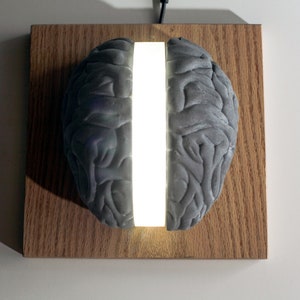 Unique Brain Desk Lamp - Anatomical Brain Shaped Table Light for Study or Office Decor