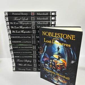 Noblestone and the Lost Dwarves hardcover