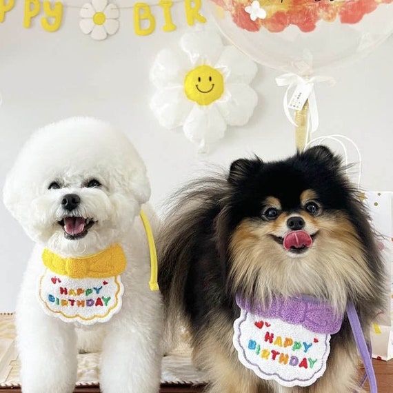 Pet Birthday Celebration Accessories Hat and Bib for Cats and Dogs
