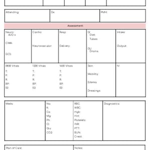 Nursing Report Sheet Registered Nurse Brain ICU Step down Med