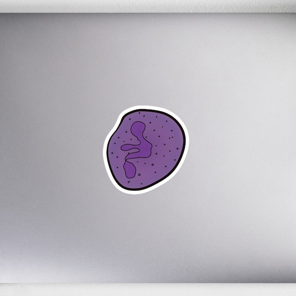 Segmented Neutrophil Sticker / Immunology Sticker / White Blood Cell / Lab Science Sticker