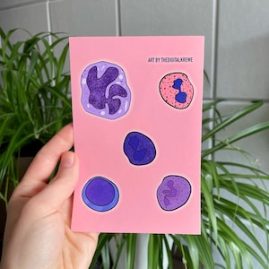 White Blood Cells Sticker Sheet / WBC Stickers / Medical Laboratory Science Sticker Sheet