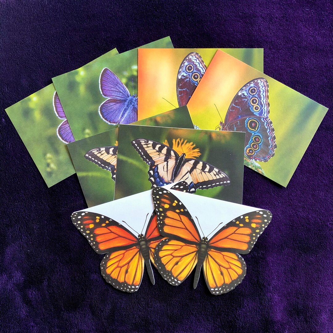 Set of 8 Unique Realistic Butterfly Cards With Themed Envelopes ...