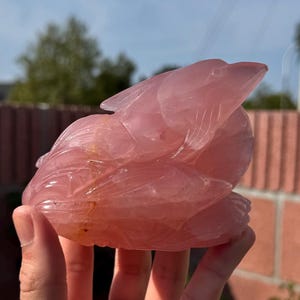 Sterrozenkwarts dolfijn - Gemmy - hoogwaardig (1,2 lbs)