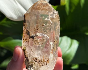 May include: A clear, raw crystal with brown and tan hues is held in front of a background of green leaves and a white calla lily with a yellow stamen. The crystal is rough and textured, with visible inclusions.