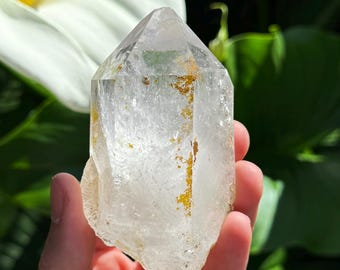 May include: A clear quartz crystal with golden inclusions is held in front of a white calla lily and green foliage. The crystal is a natural, pointed shape, and the background is blurred, creating a focus on the crystal.