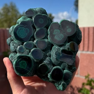 Botryoider Malachit halbpoliert - High Grade (2.6lbs)