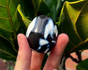 シトリン含有のファントムアメジストセプター - 高品質 (0.8 ポンド