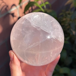Girasol Rose Quartz Sphere w/ Star Asterisms (3.5lbs)