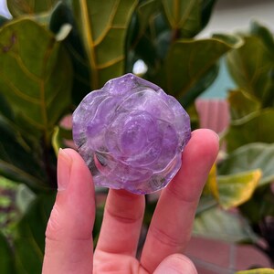 High Grade Royal Amethyst Flowers (~45g)