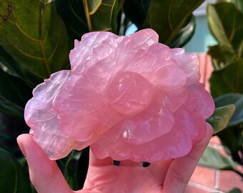 Puede incluir: Un gran cristal rosa en forma de rosa tallado en cuarzo rosa. El cristal es translúcido y tiene un aspecto delicado y en capas.