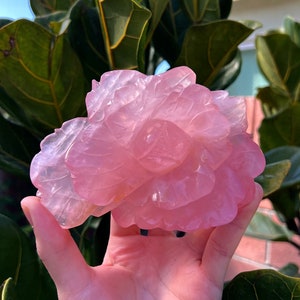 Violet Star Rose Quartz Flower Crystal Carving (~1lb)