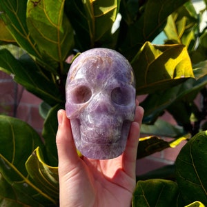 スーパー7アメジストスカル彫刻（3.5ポンド） - Etsy 日本