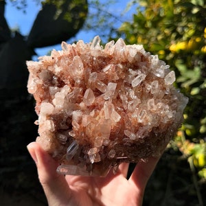 Fire Quartz Cluster w/ Lemurian Etchings - High Grade (2.3lbs)