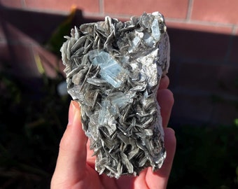 Aquamarine w/ Muscovite Specimen - High Grade (1lb)