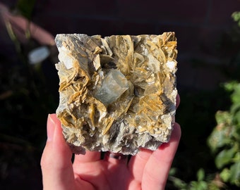 Aquamarine w/ Muscovite Specimen - High Grade (0.9lbs)