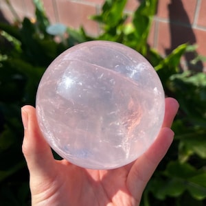 Girasol Star Rose Quartz Sphere w/ Converging Asterisms - AAA Grade (3lbs)