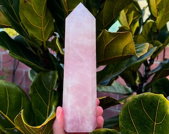 Puede incluir: Una gran punta de cristal de cuarzo rosa pálido, con una superficie lisa y pulida. El cristal se sostiene en una mano sobre un fondo de hojas verdes.
