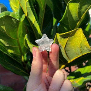 May include: A clear, star-shaped crystal held between two fingers against a backdrop of green leaves.