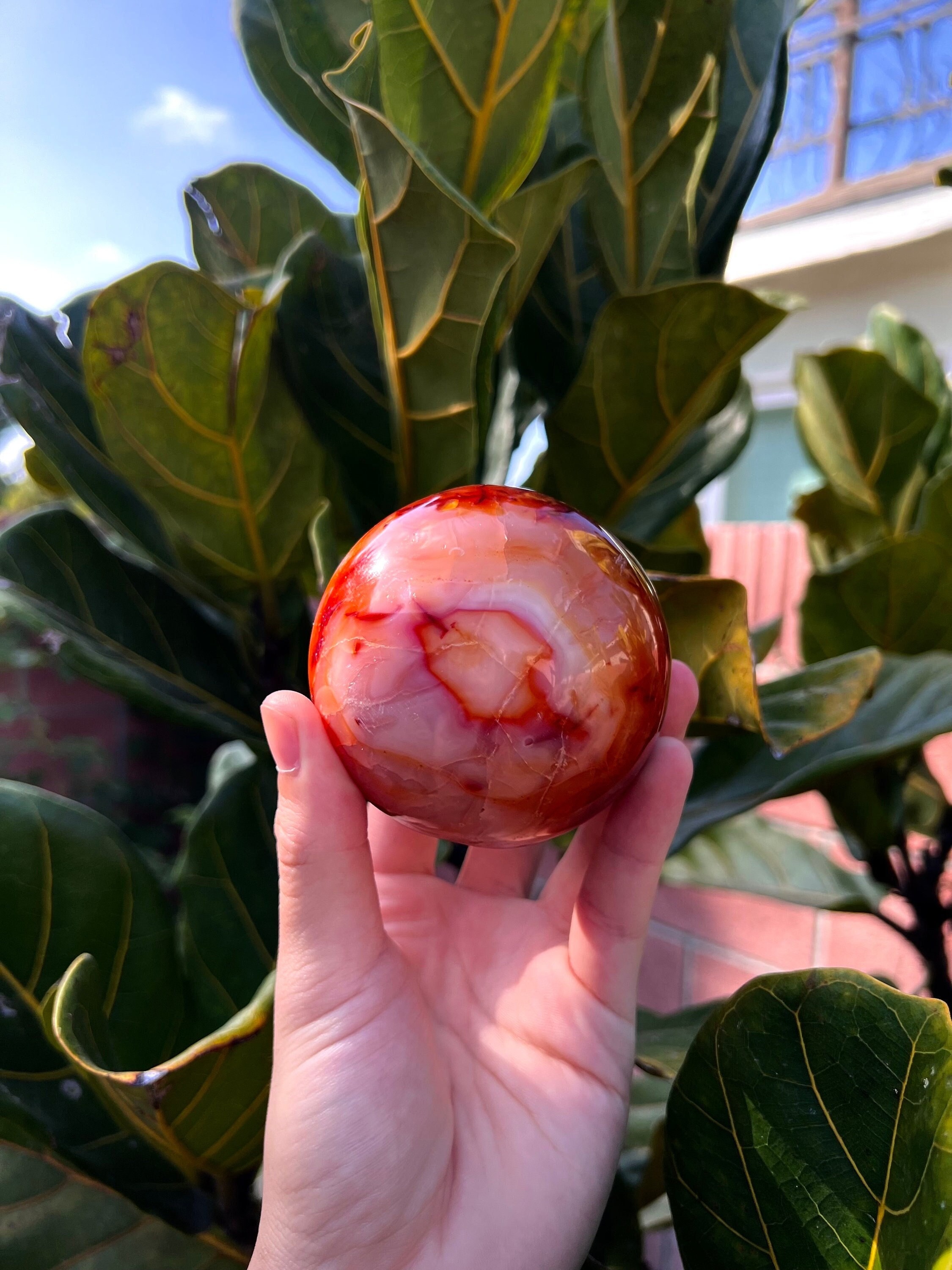Carnelian Sphere W/ Peachy Pink Colors - Scarlet Inclusions - High