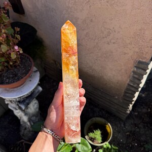May include: A tall, rectangular crystal point with a gradient of colors, transitioning from a clear base to orange and yellow at the top. The crystal is held outdoors, with potted plants and a wall in the background. The crystal is approximately 8 inches tall.